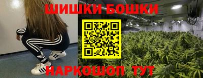 стаф Новодвинск