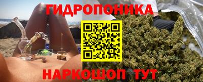 стаф Новодвинск