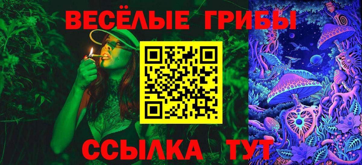 Псилоцибиновые грибы GOLDEN TEACHER  Вход с VPN  Галлюциногенные грибы Psilocybine cubensis  Татарск 